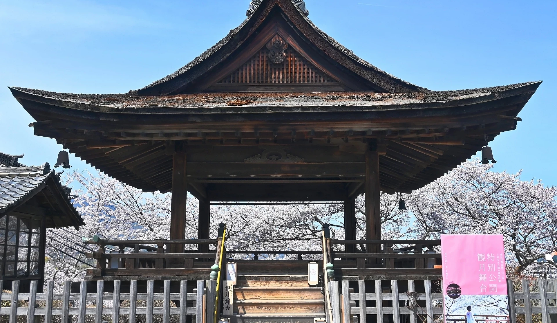 三井寺內古老建築有櫻花作為背景