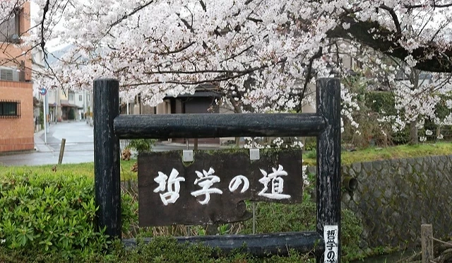 櫻花樹下有著「哲學之道」的木頭標牌