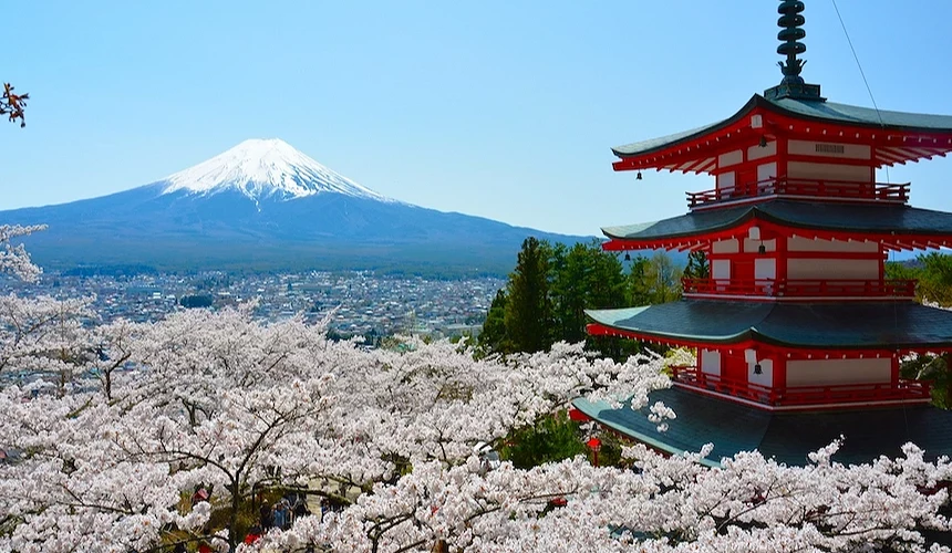 五重塔和滿開櫻花富士山
