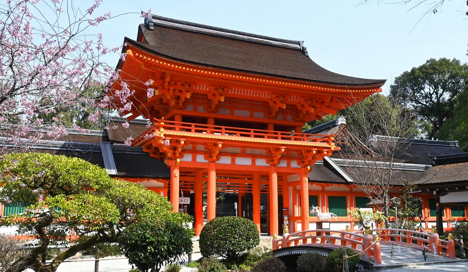 紅色鳥居和建築與前面的小橋、綠樹、粉櫻相互輝映