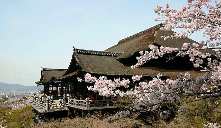 清水寺和櫻花