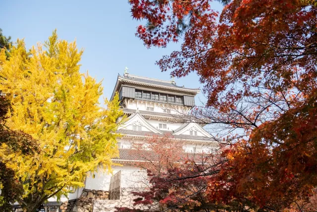 九州楓葉季：11月賞福岡紅葉、熊本12月泛舟賞楓【九州賞楓景點】