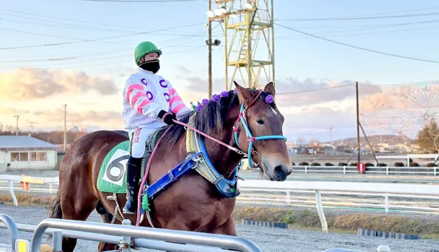 日高白馬矯健好騎、十勝馬車夠浪漫！北海道騎馬遊景點、美食清單