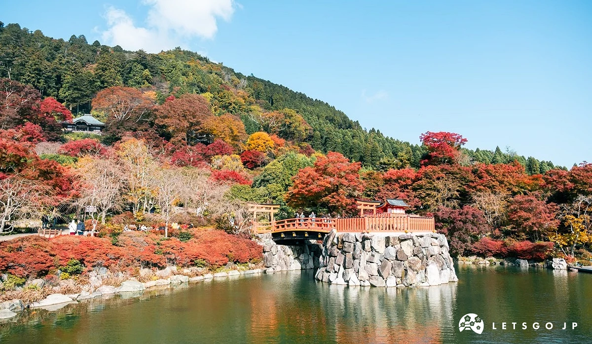 滿山紅葉中間有一座鳥居