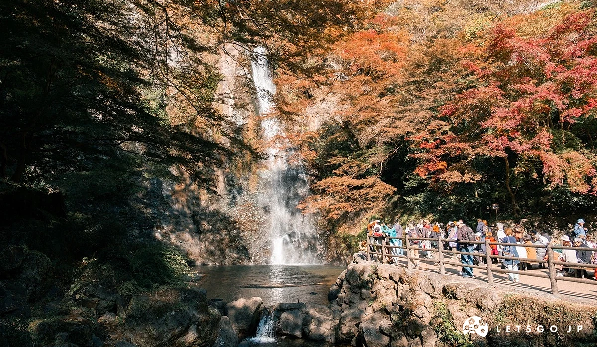 紅葉與瀑布的景色相互輝映,非常壯觀