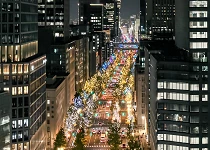 大阪光之饗宴2026：御堂筋點燈11/3登場、中之島光雕，12月大阪活動攻略