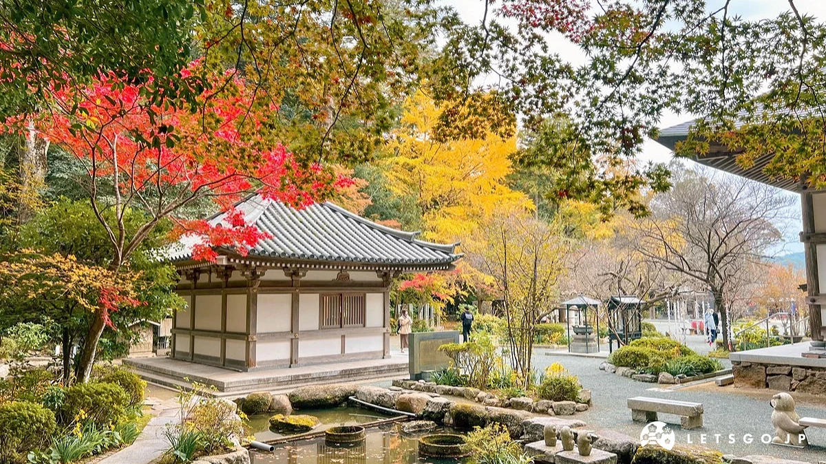 鎮國寺與楓葉