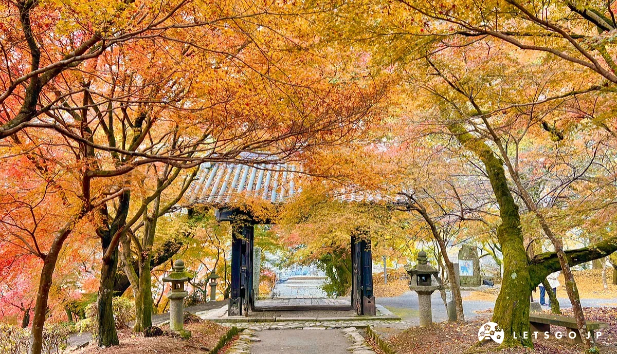 被楓葉圍繞的寺廟大門