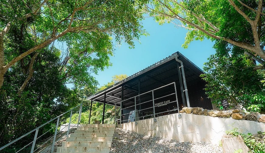 被大自然環抱的「FOREST CAFE」建築外觀