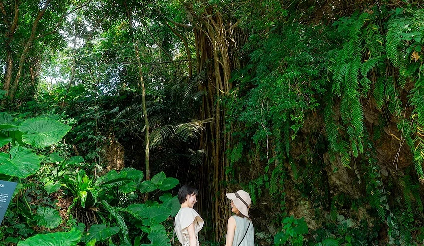 兩人走在充滿熱帶植物的步道