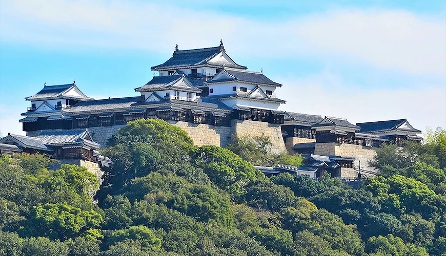位於勝山上的松山城