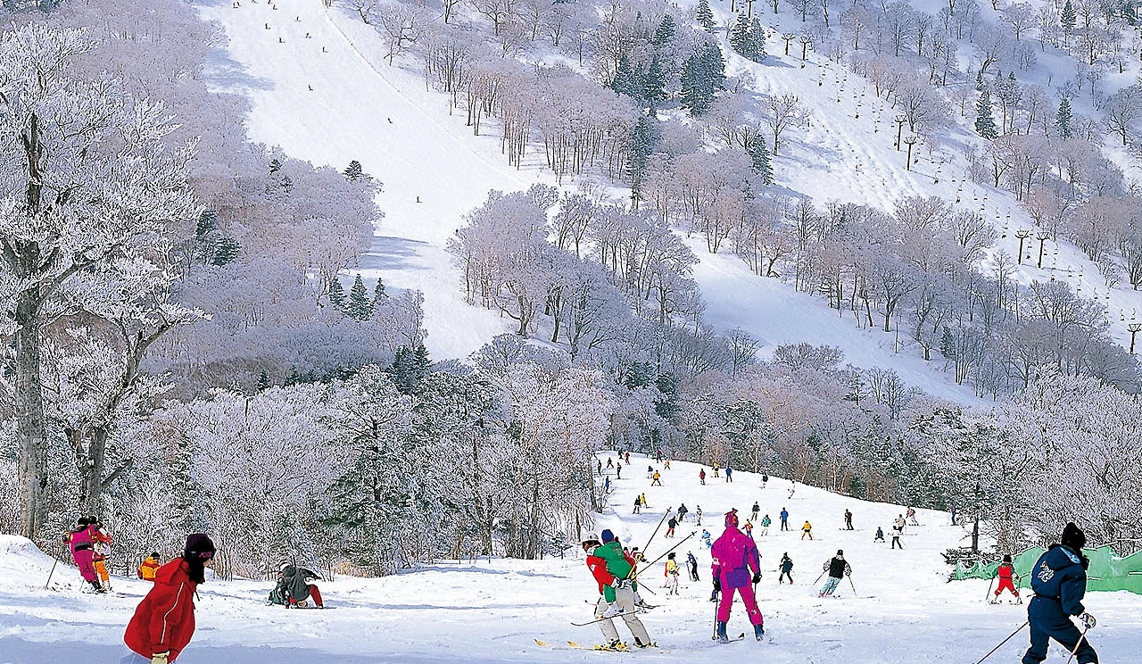多人在雪道上滑雪