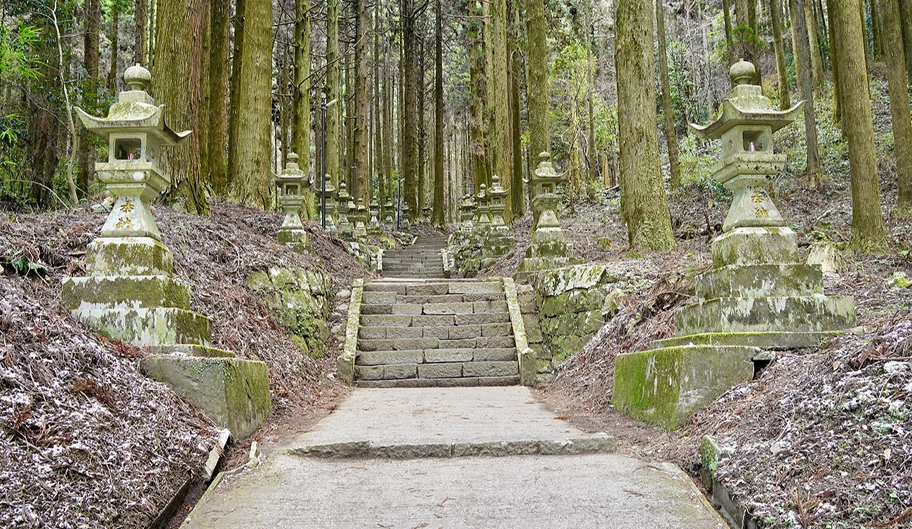 參道兩旁的石燈籠