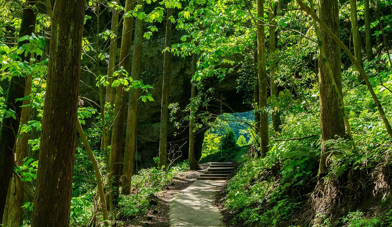 穿戶岩的新綠景象