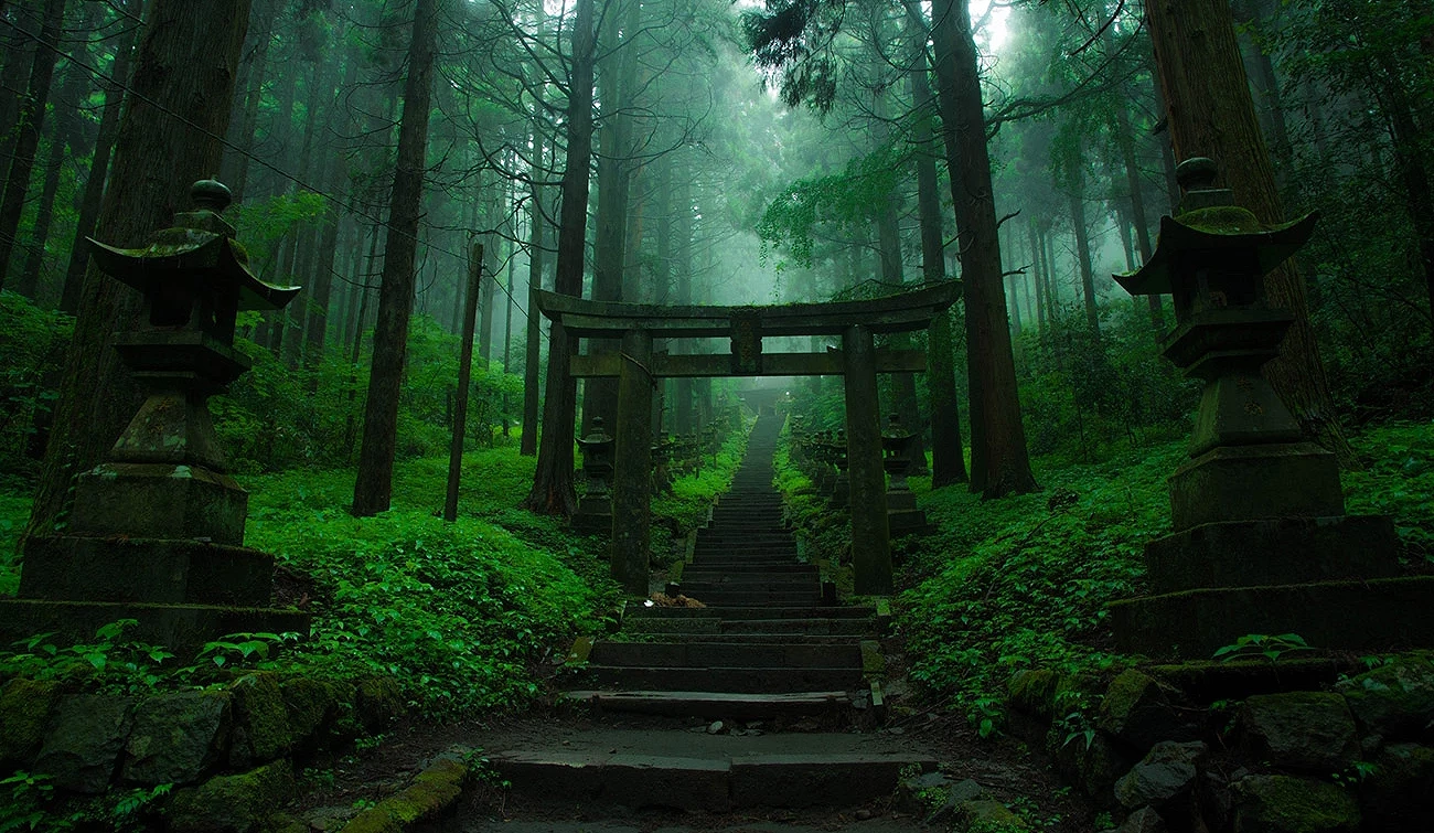 充滿霧氣的上色見熊野座神社