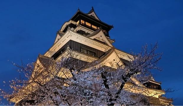 夜晚的熊本城與櫻花