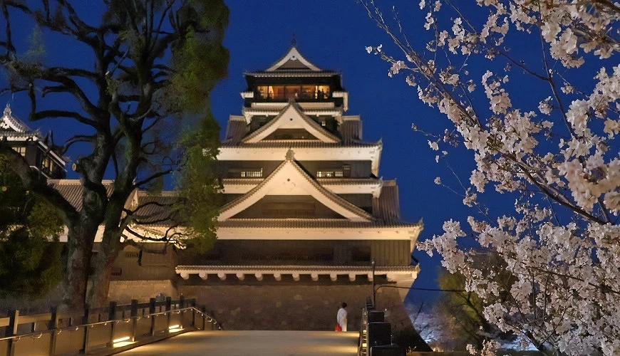 熊本城夜間點燈,一旁有櫻花