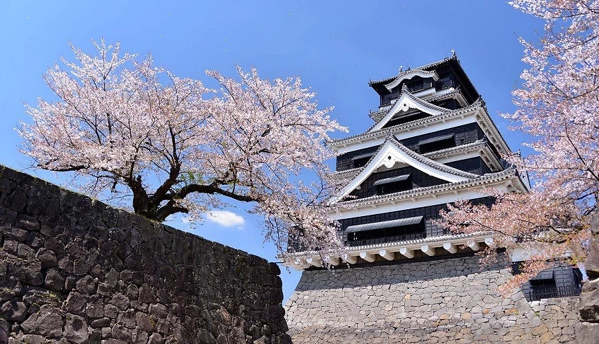 熊本城一旁有櫻花點綴