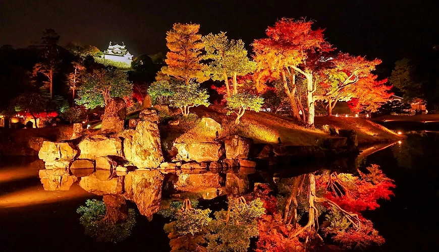 彥根城玄宮園夜間點燈
