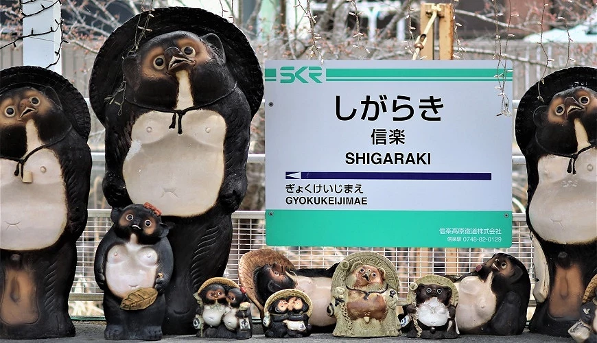 有許多陶瓷狸貓的信樂站