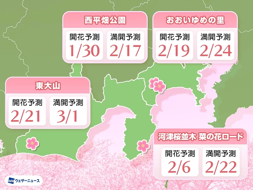 河津櫻開花預測圖