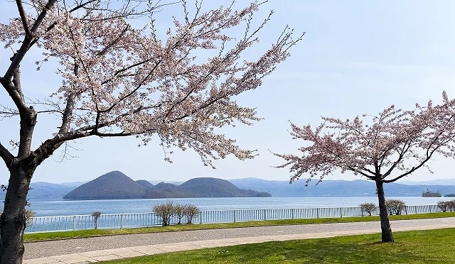 洞爺湖湖畔櫻花與步道景色,前景為盛開櫻花樹,背景可見湖面與中島群島,呈現洞爺湖春季景觀