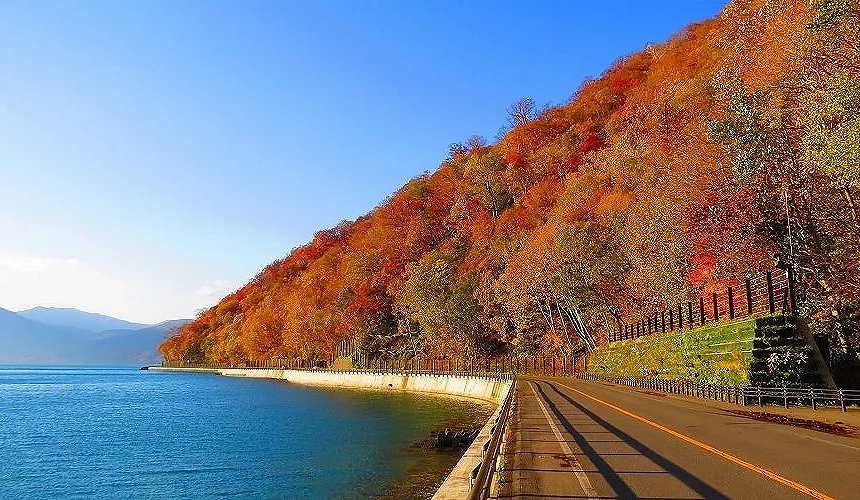 秋季的支笏湖湖畔道路,湖水湛藍,沿岸山坡被橙紅、金黃交織的紅葉覆蓋,筆直公路沿著湖岸延伸,展現北海道秋天的層次景色
