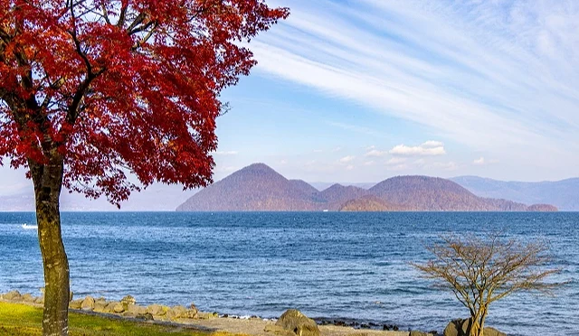 洞爺湖秋天湖畔景色,前景紅葉盛開,湖面遼闊,遠方可見中島群島與湖岸地形