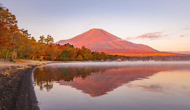 秋季清晨的山中湖湖畔,湖面倒映被晨光染成橙紅色的富士山,周圍楓葉轉紅,薄霧瀰漫