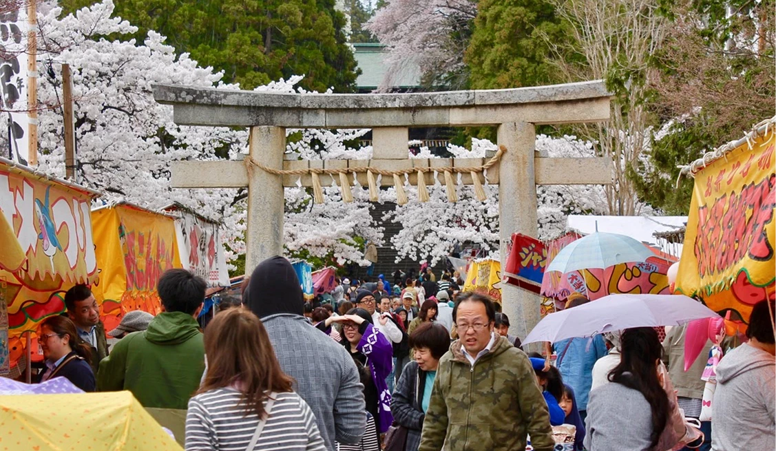 櫻花盛開的神社參道前,石造鳥居下聚集大量賞櫻人潮,兩側攤販林立,粉白櫻花與熱鬧祭典氣氛交織