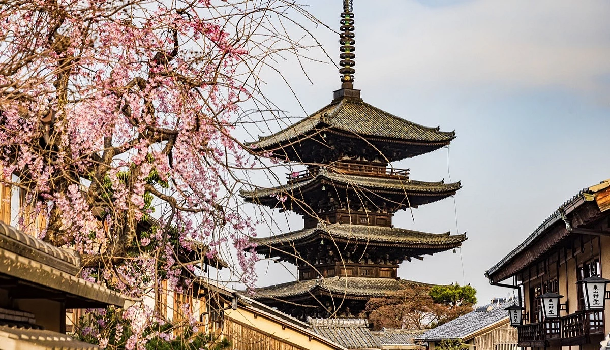 京都的五重塔,一旁櫻花滿開