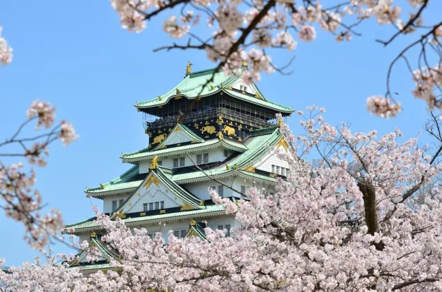 大阪櫻花景點推薦：造幣局櫻花隧道、大阪城夜櫻，3月賞櫻景點看這篇！