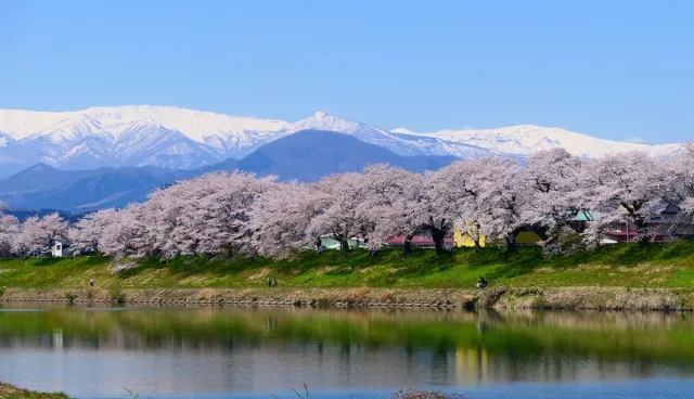 宮城縣自由行攻略：推薦景點、仙台、松島、藏王必去行程一次看懂！ 的縮圖