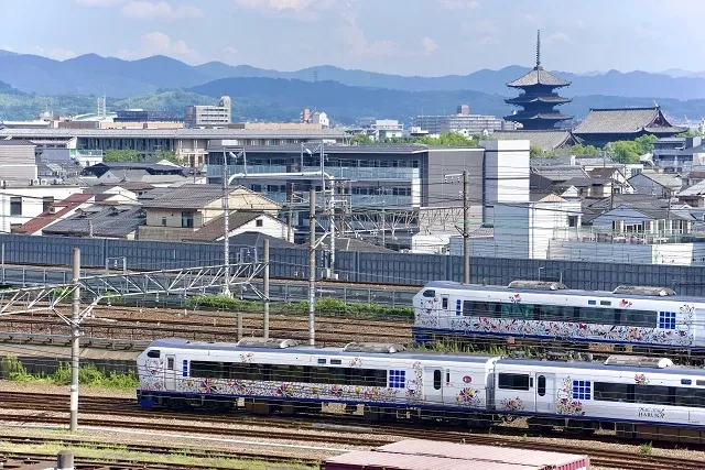 關西機場到京都交通攻略：HARUKA、利木津巴士、關空快速一次比較