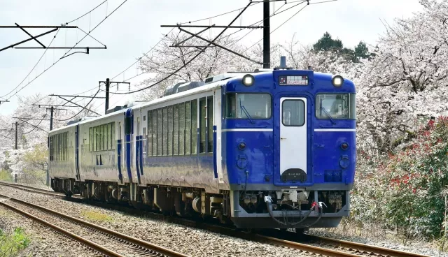 2026春季JR東日本增班！新宿4小時直達福島賞櫻，櫻花之旅安排更彈性