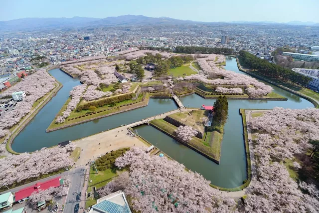 2026北海道櫻花景點10選：函館五稜郭必去！小樽手宮公園賞櫻超人氣