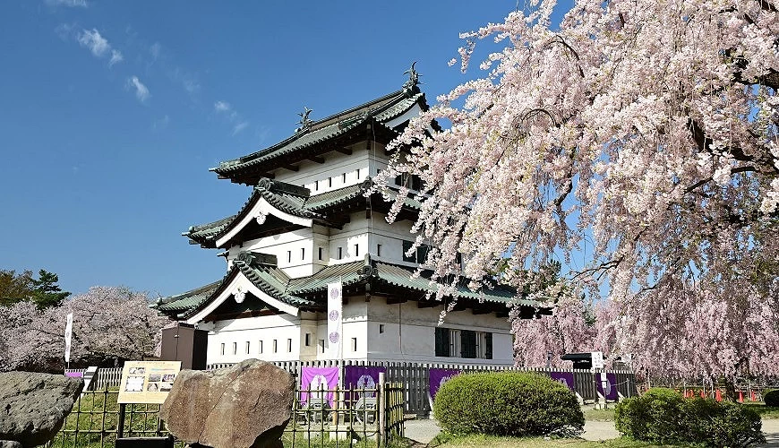 弘前公園與櫻花