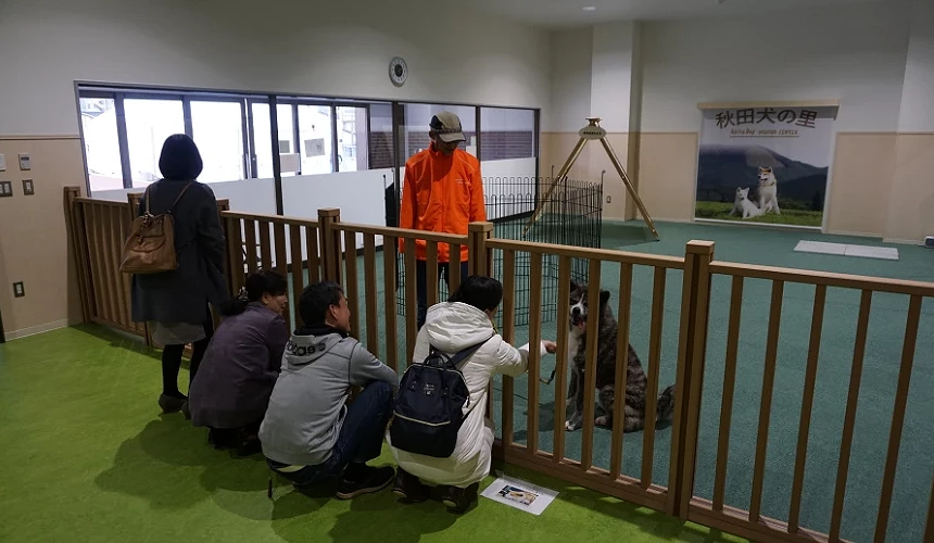 秋田犬之里