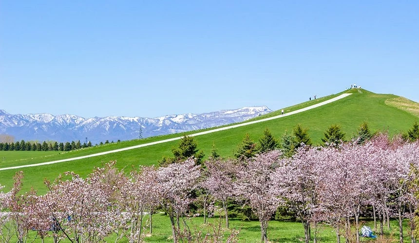 莫埃來沼公園與遠方雪山