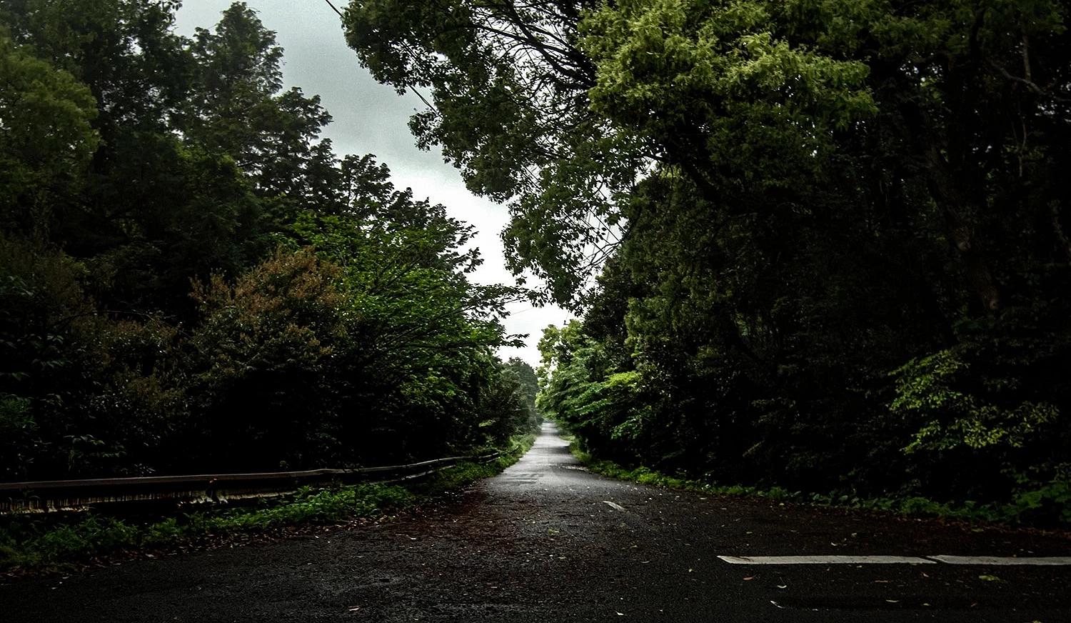 視線不良的山野林道
