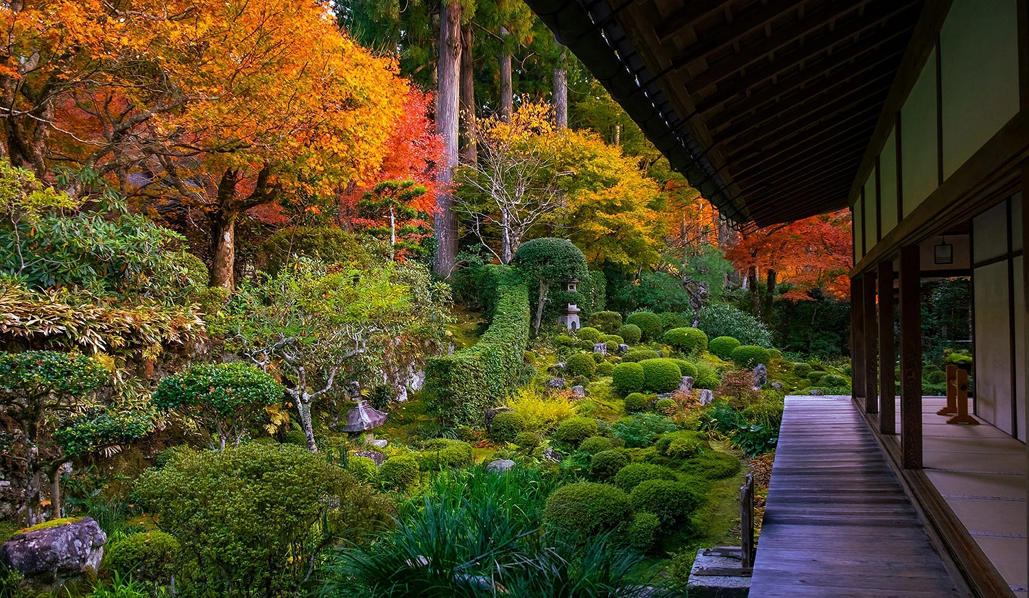 京都大原三千院的紅葉景色