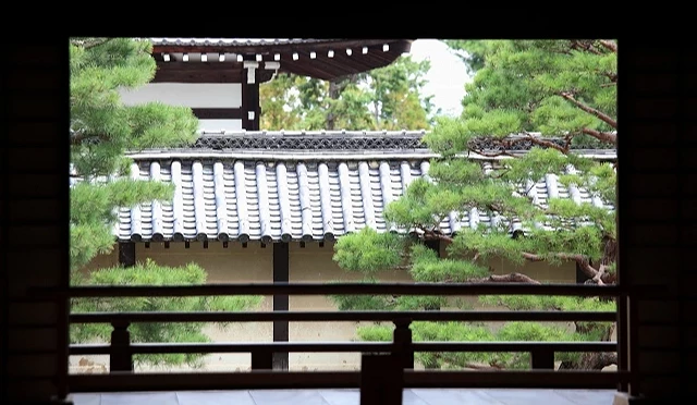 從天龍寺室內走廊向外望去,可見灰瓦屋頂與修剪整齊的松樹相互交錯