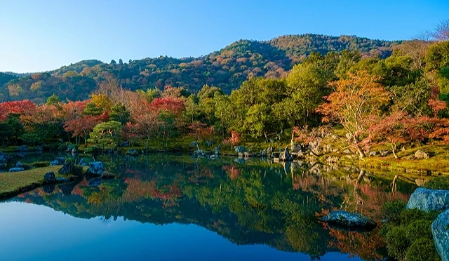 天龍寺曹源池庭園秋景,池塘倒映嵐山山巒與紅黃交錯的楓葉