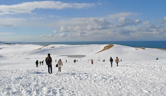 冬季覆雪的鳥取砂丘景觀,多名遊客行走於白雪覆蓋的沙丘上,遠方可見日本海與藍天雲層交織的壯闊畫面