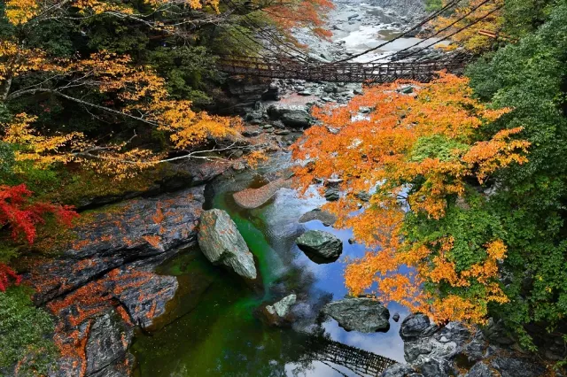 大步危峽谷觀光遊覽船、祖谷藤蔓橋必訪！德島三好市景點及溫泉住宿推薦 的縮圖