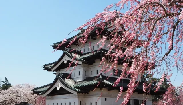 弘前城、弘前公園攻略：櫻花花筏、楓葉、雪燈籠祭，交通與一日遊動線