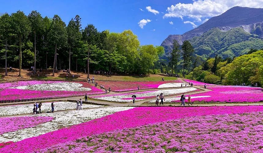 左邊「東側斜面區」有愛心型花圃