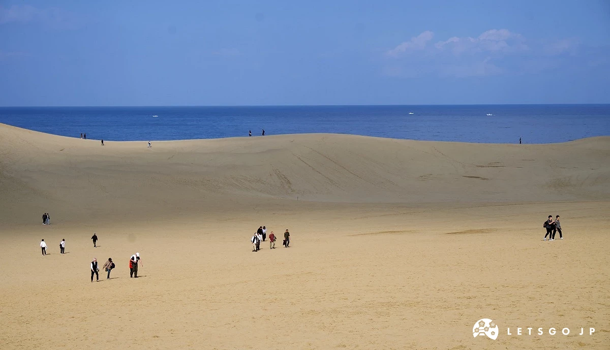 綿延的鳥取砂丘和遠處海面景色
