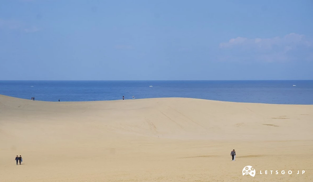 遼闊的鳥取砂丘,遠方為海岸