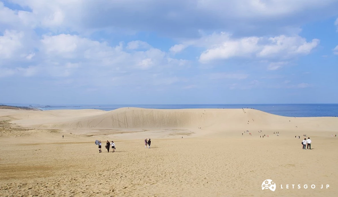 鳥取砂丘馬背砂丘遠景,多名遊客在廣闊沙地上行走,背後可見日本海與藍天交織的壯觀景色